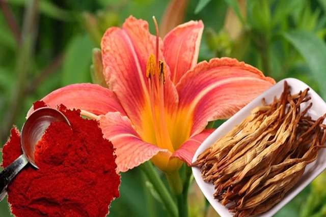 Tác dụng làm đẹp da của hoa hiên